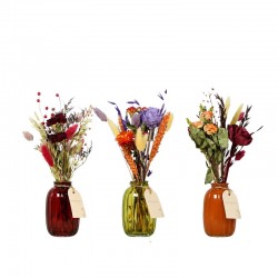 fleurs séchées en bouteille